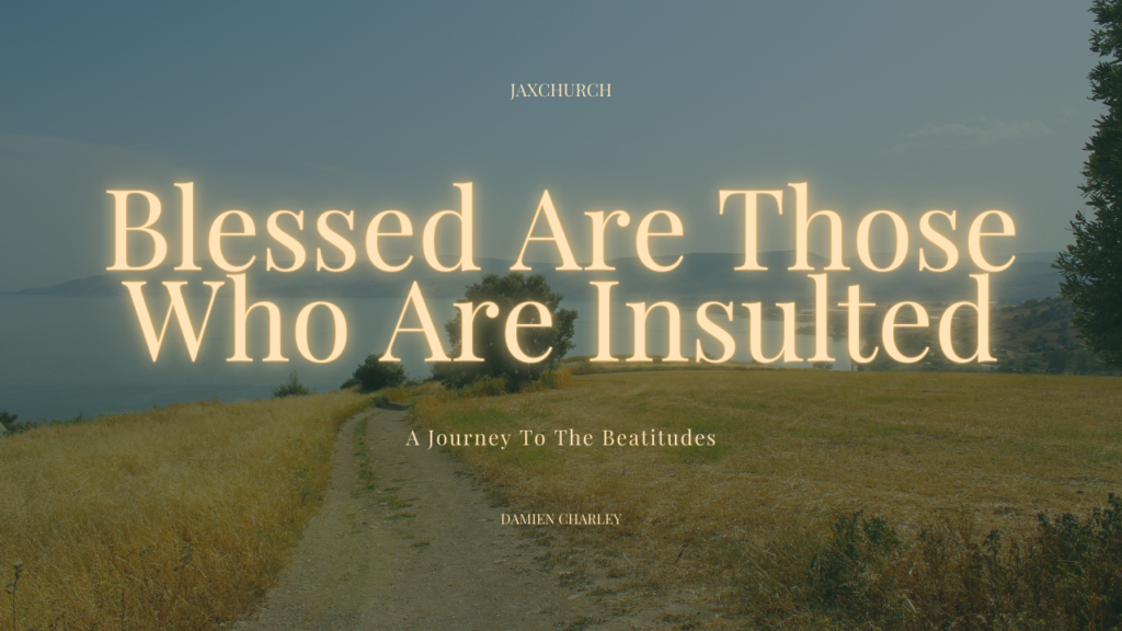 Blessed are Those Who Are Insulted | Damien Charley
